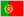 Portuguese Portuguese