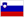 Slovenian Slovenian